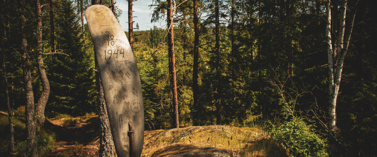 Flygkraschen i Vissla, flygvinge 
