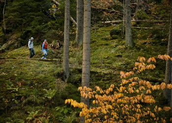Hike at Göta älv Pilgrim Trail