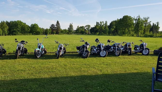 Flera motorcyklar som står uppradade på en gräsplan.