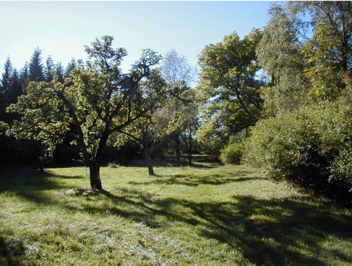 Idåsens naturreservat