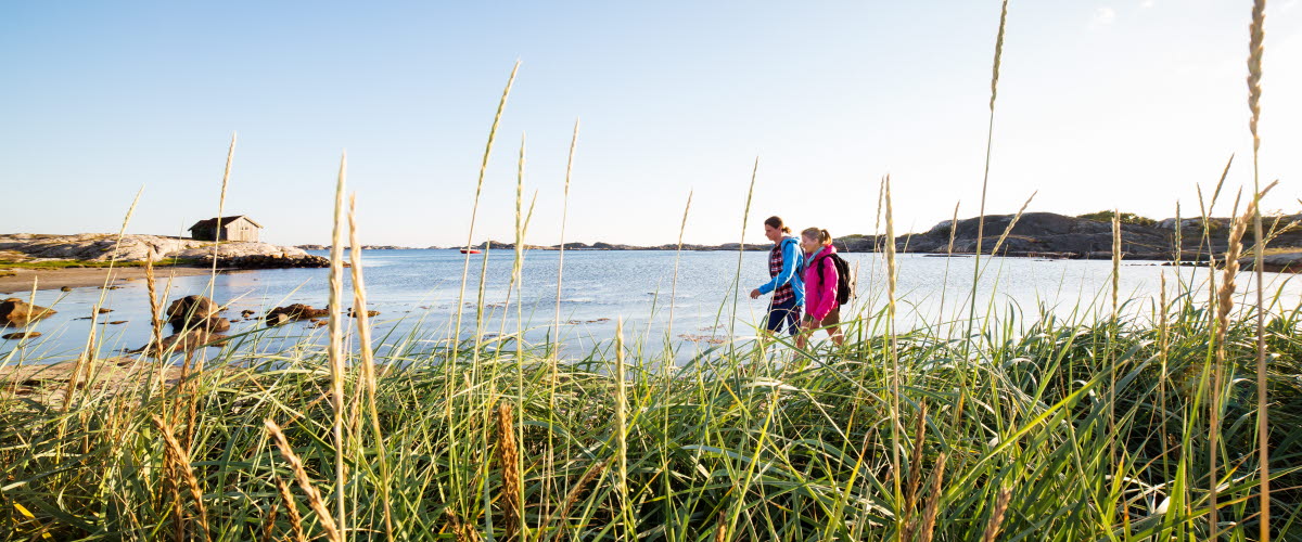I förgrunden syns vass och högt gräs, I bakgrunden syns två personer som promenerar längst en strand på Sydkoster.