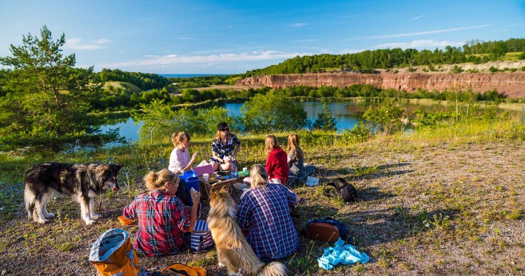 Några personer sitter och fikar vid kanten av ett stenbrott. Himlen är blå och solen lyser. De har hundar med sig.