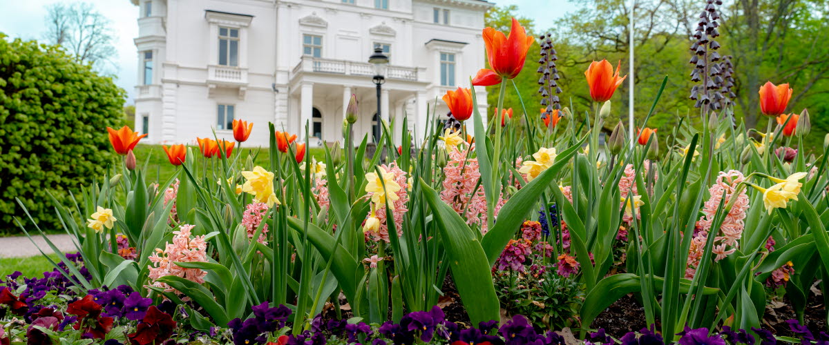 Färgglada blommor i förgrunden och Nolhaga slott i bakgrunden. 