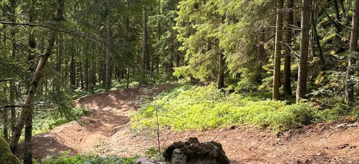 Teknikbana och downhill MTB