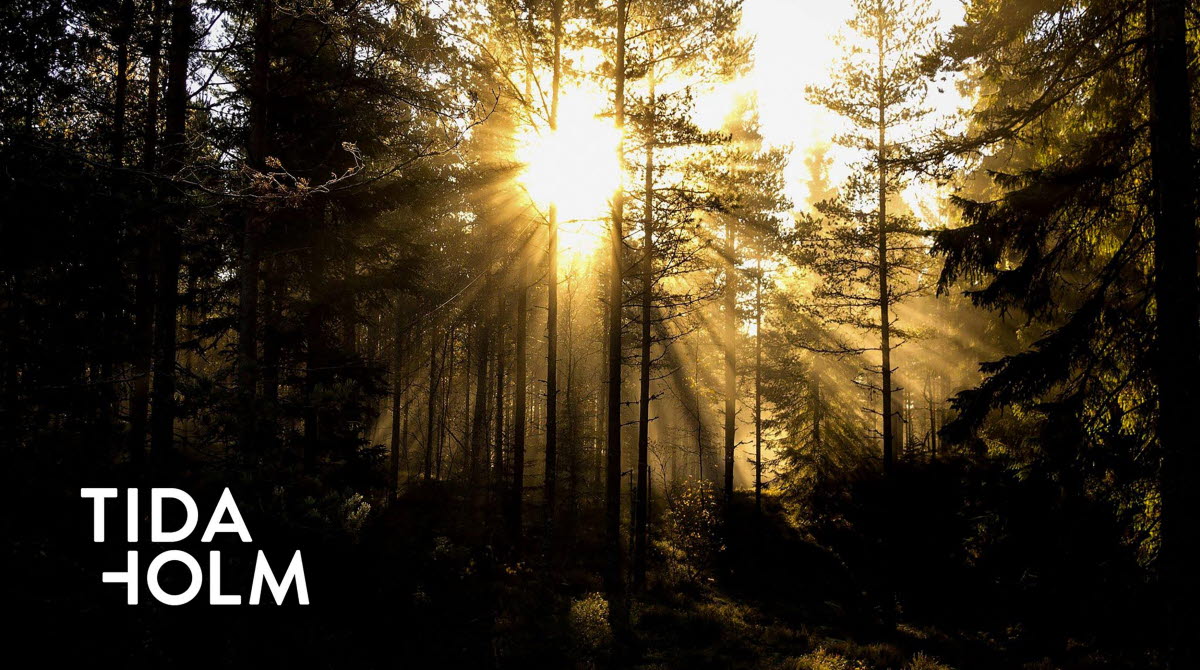 Skogsbild med solstrålar som tränger igenom och med Tidaholmslogga nertill i vänsterkant.