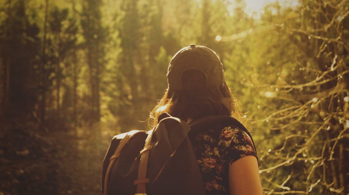 En bild som är tagen på ryggen av en kvinna med ryggsäck som går i skogen. Framför henne finns en tjock, djup skog som badar i ett gyllene solsken.