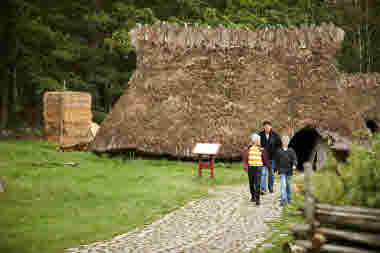 Vitlycke Museum, Tanumshede