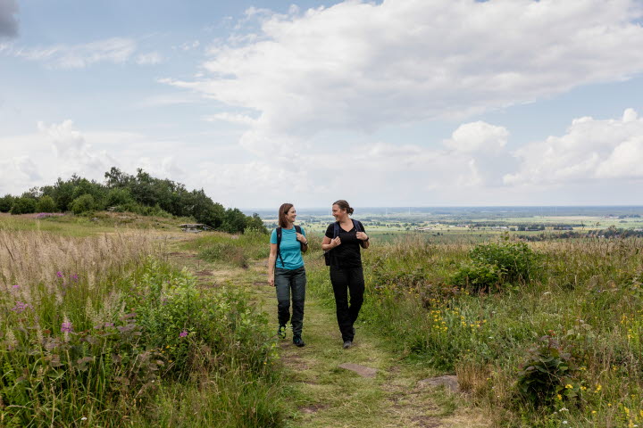 Vandringsleder Ålleberg