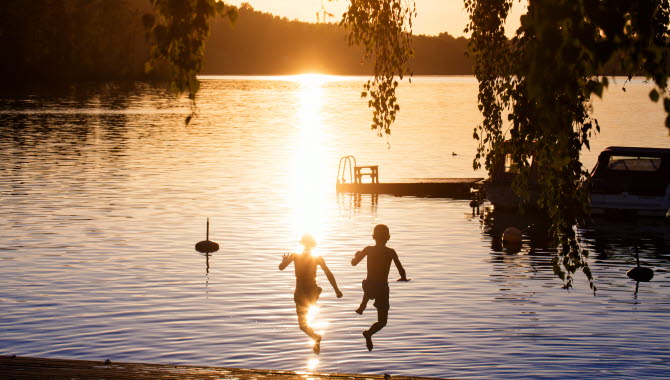 Naturen i Dalsland