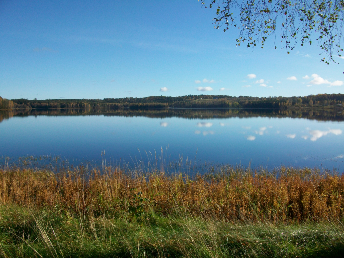 Dalstorpasjön FVO