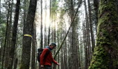 Naturen runt Ragnerudsjön & Kroppefjäll