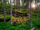 Walk in Tresticklan national park.