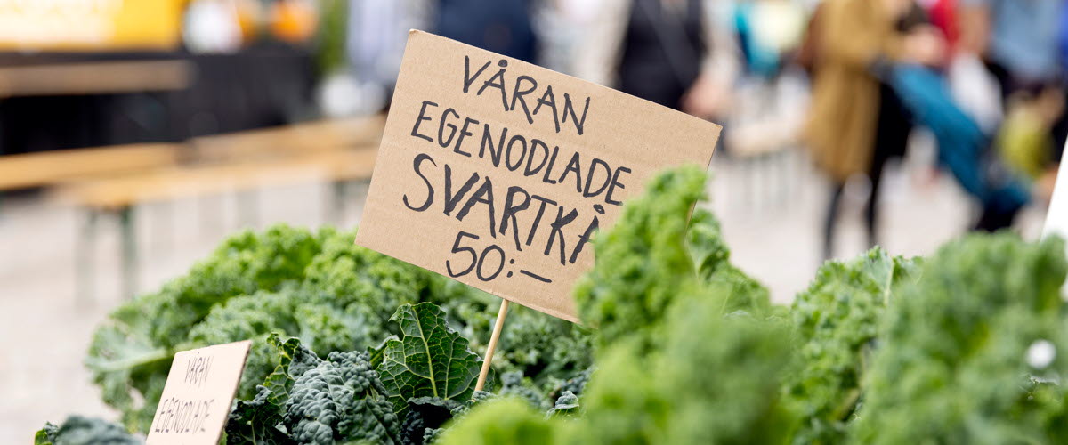 Försäljning av svartkål med en skylt där det står "Våran egenodlade svartkål 50 kr". Folkmassa i bakgrunden. 