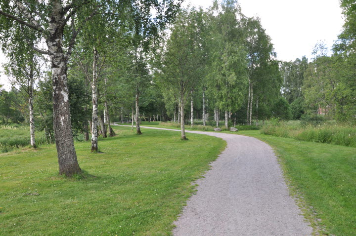 Hälsans stig