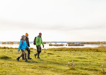 Vandring vid Hornborgasjön