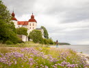 Läckö castle