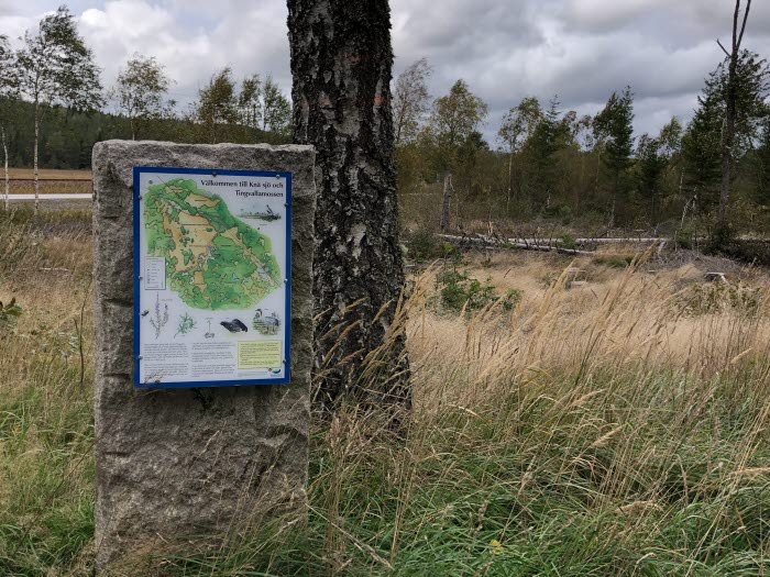 Tingvallamossen