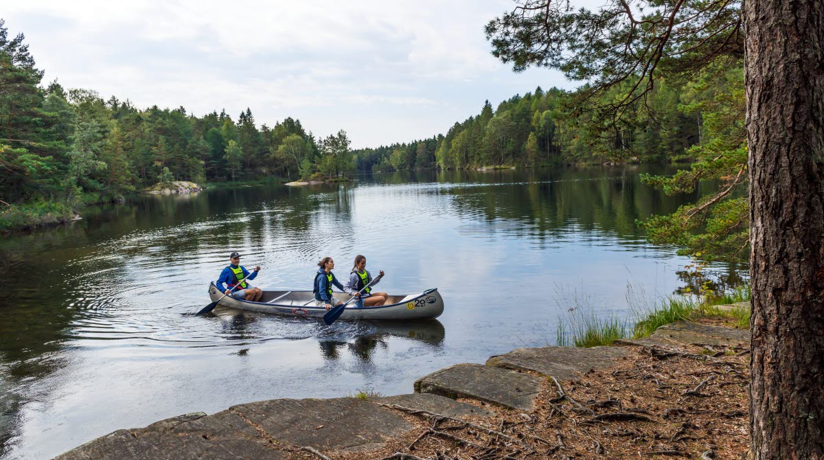 Three people canoeing in a lake.