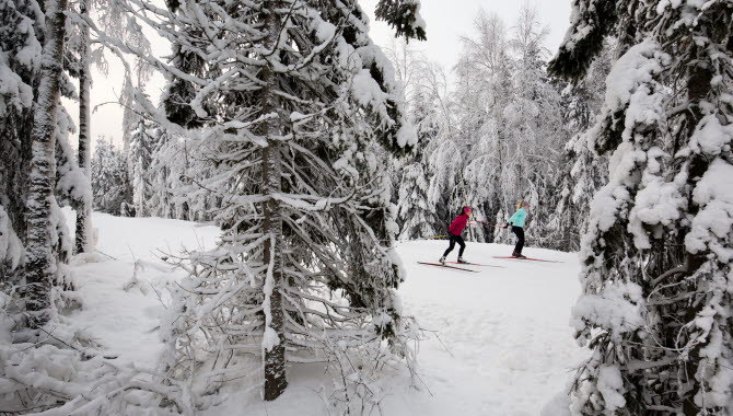Vinter