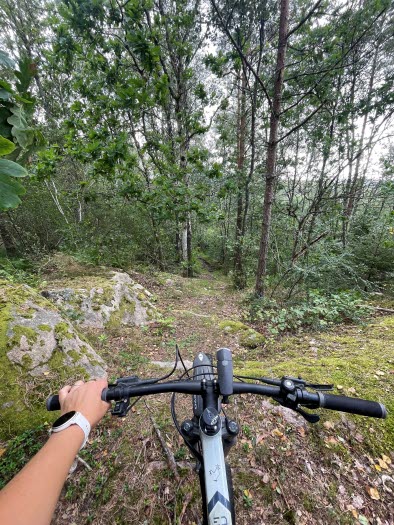 Höjdens Aktivitetsled