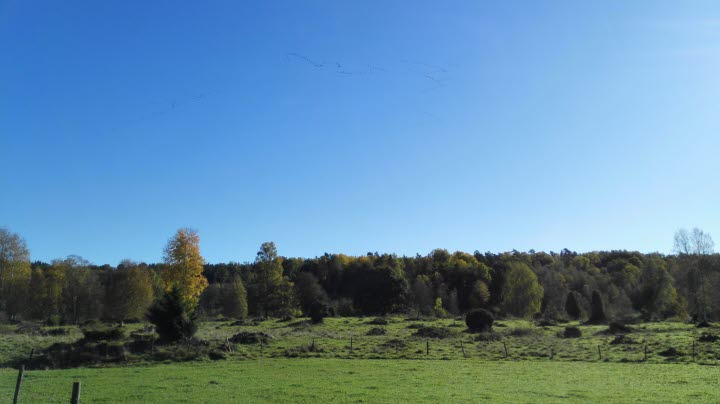 Pilgrimsleden Norra Ätradalen