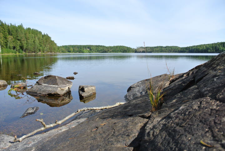 Stamnåra FVO