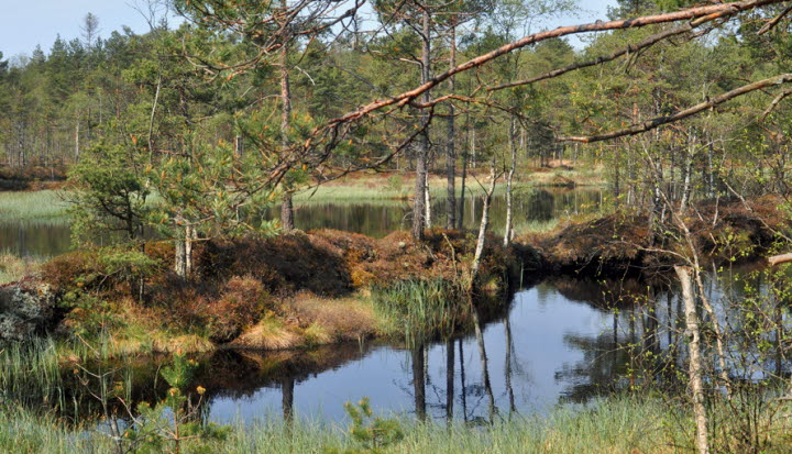 SOK-stugan Nordtorp