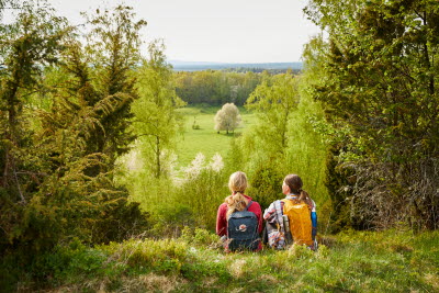Bockaskedeåsen
