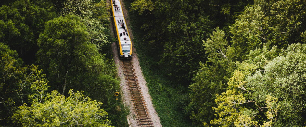 Överblicks bild med skog och ett tågspår med tåg i centrum