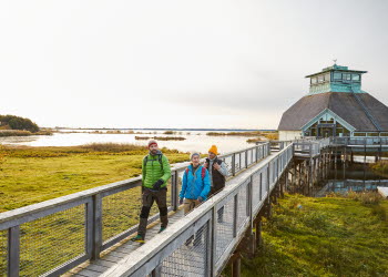 Vandring vid Hornborgasjön
