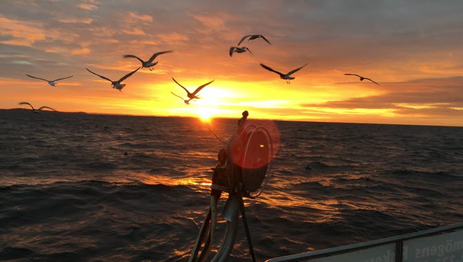 Solnedgång på Wendal Smögens Fisketur. 