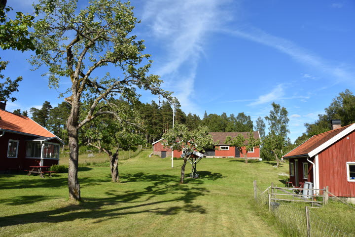 Dammsjöås 