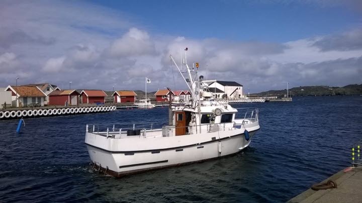 Hajen Fiskecharter