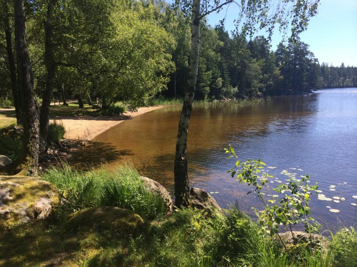 Vitasjöns badplats