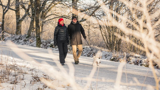 Man och kvinna som promenerar med en liten vit hund. Det är snöklätt landskap.