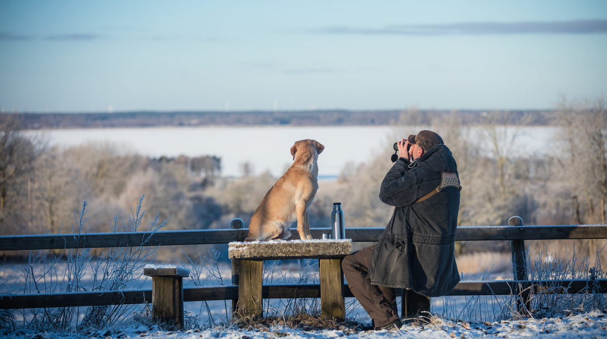 Man sitter med kikare. Hund sitter bredvid på ett träbord vid rastplatsen. Det är vinter.