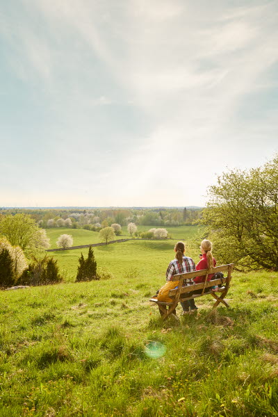 Bockaskedeåsen