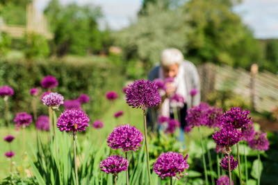 Sammels Trädgård, Landvetter