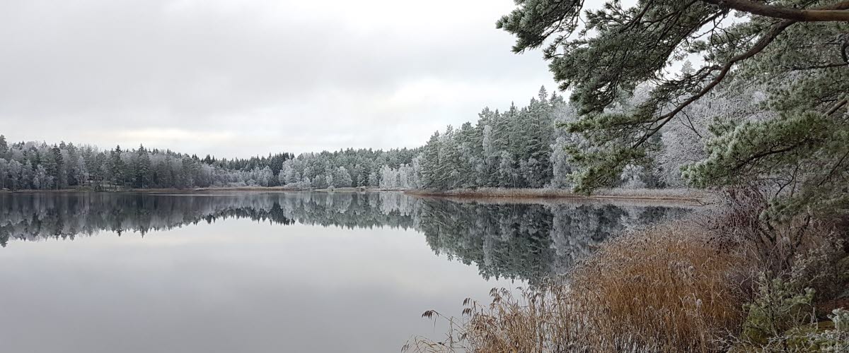 Jämnesjön vinter