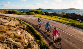 Three cyclists