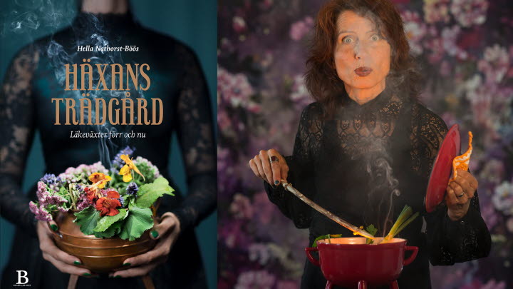 Häxans trädgård