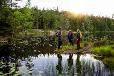 Tresticklan Nationalpark