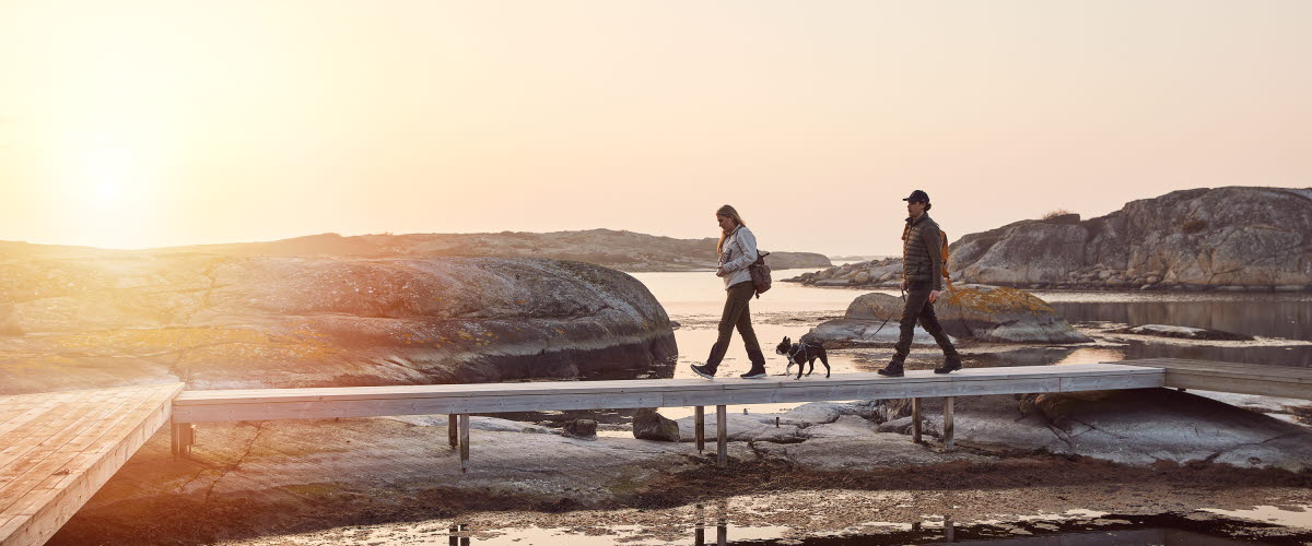 Two people and a dog in the archipelago.