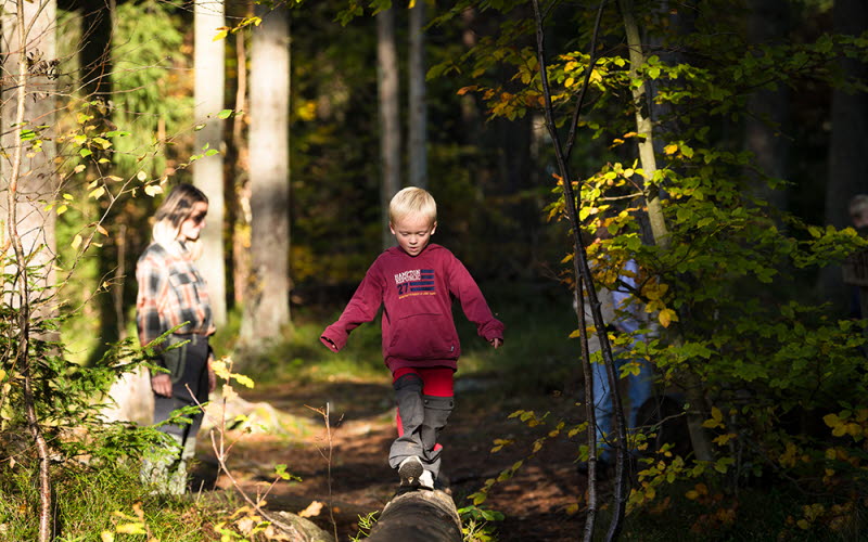 Ett yngre barn går på en stock i skogen