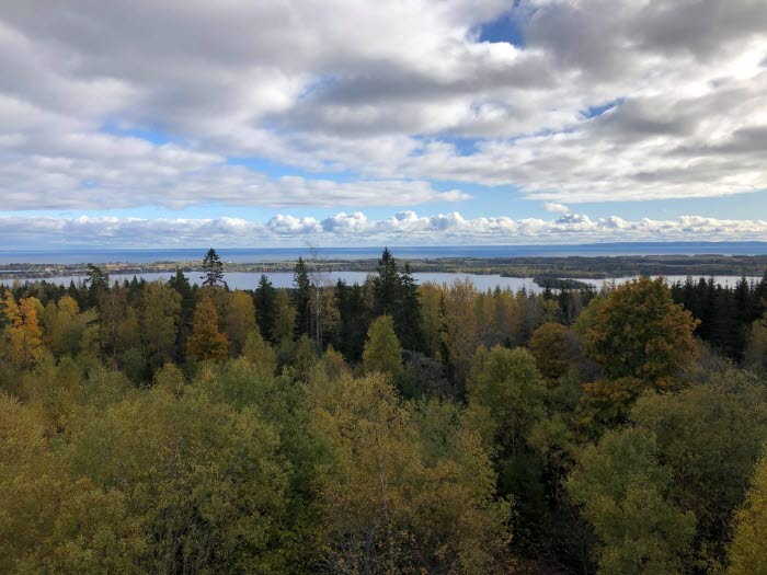 Ranger Trail