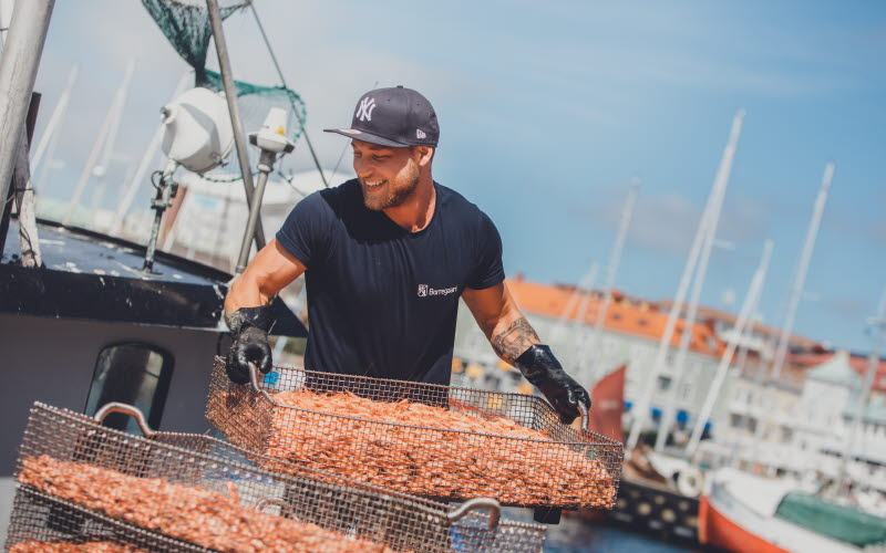 Räkkfiskare håller ett tråg med nykokt Kosterhavsräkor