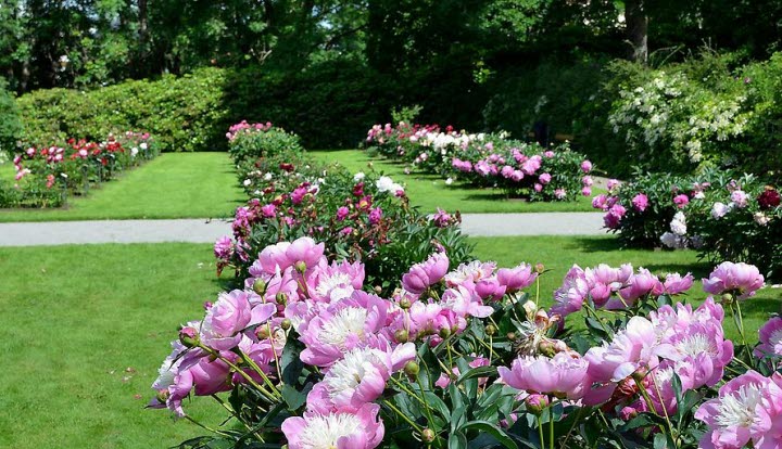 Annelundsparken