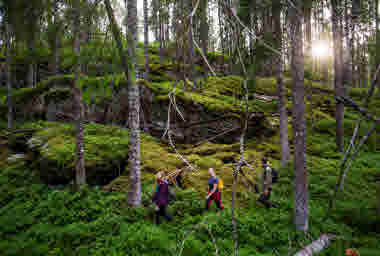 Tresticklan Nationalpark