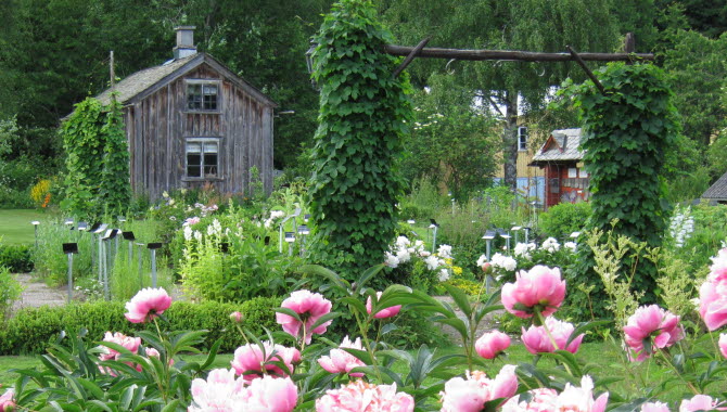Örtagården i Dals Rostock