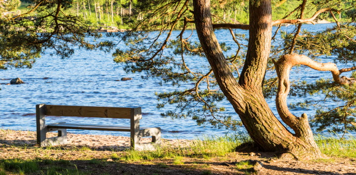 Vandra i Flohult